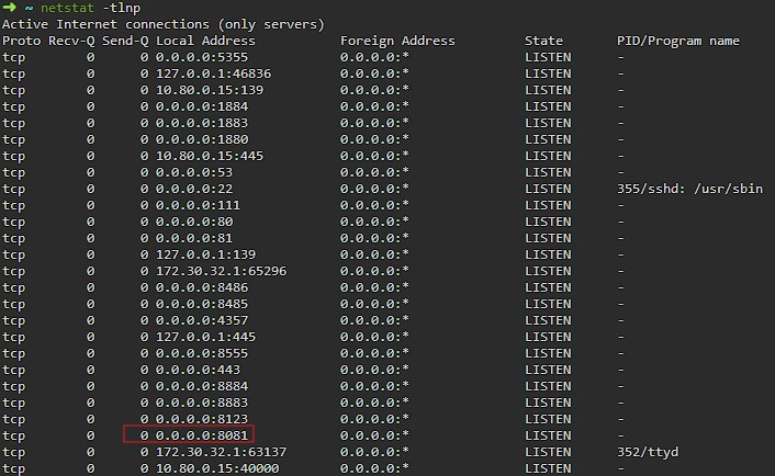 port_8081 sobre Thread_HA